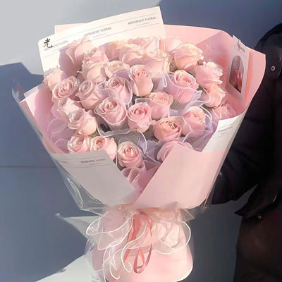 33 pink roses to city